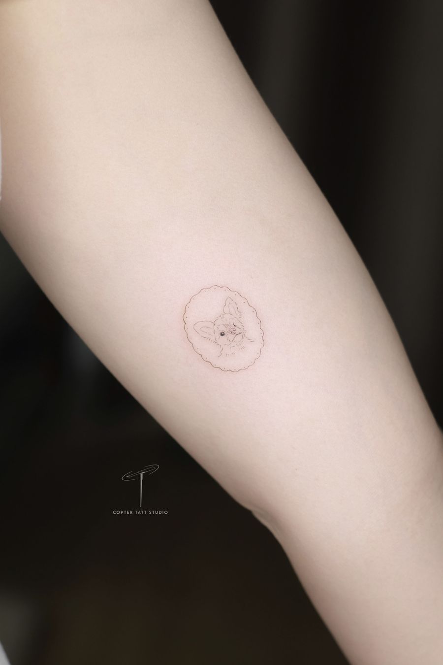 Fine Line