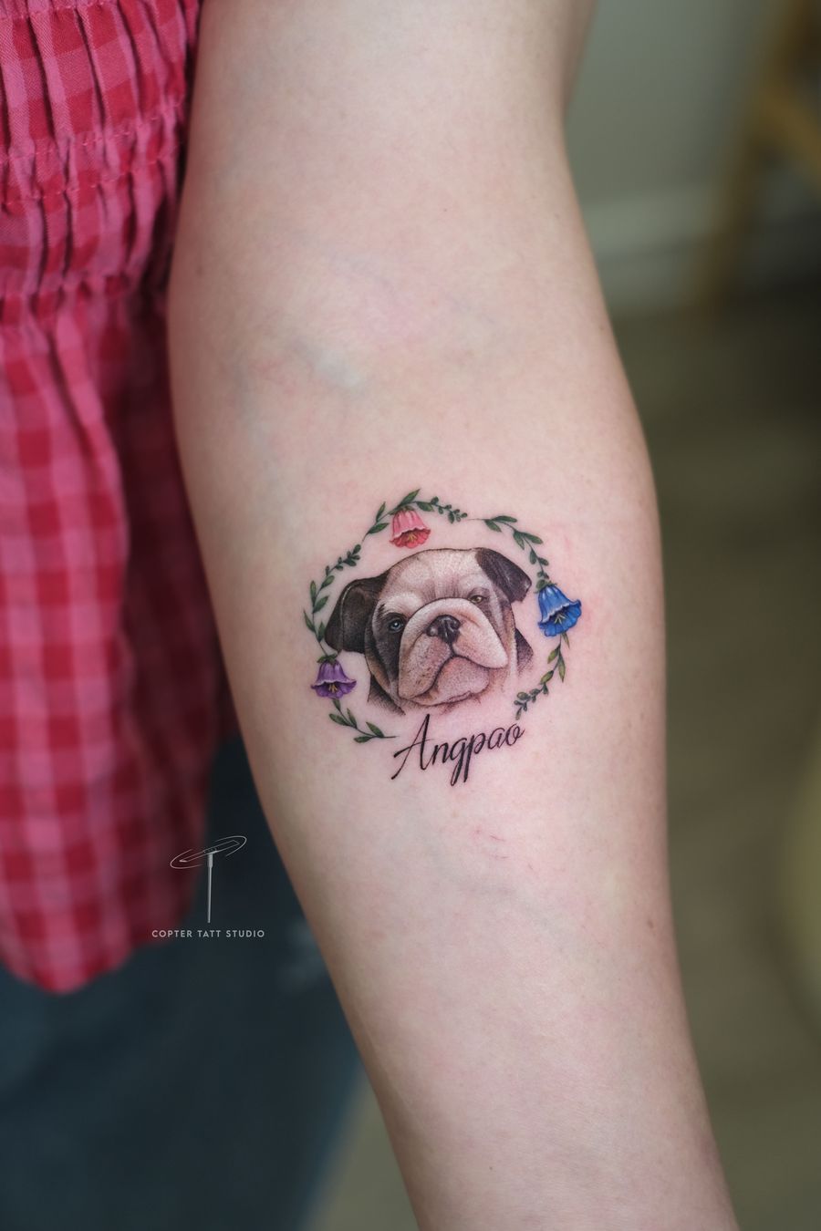 Pet