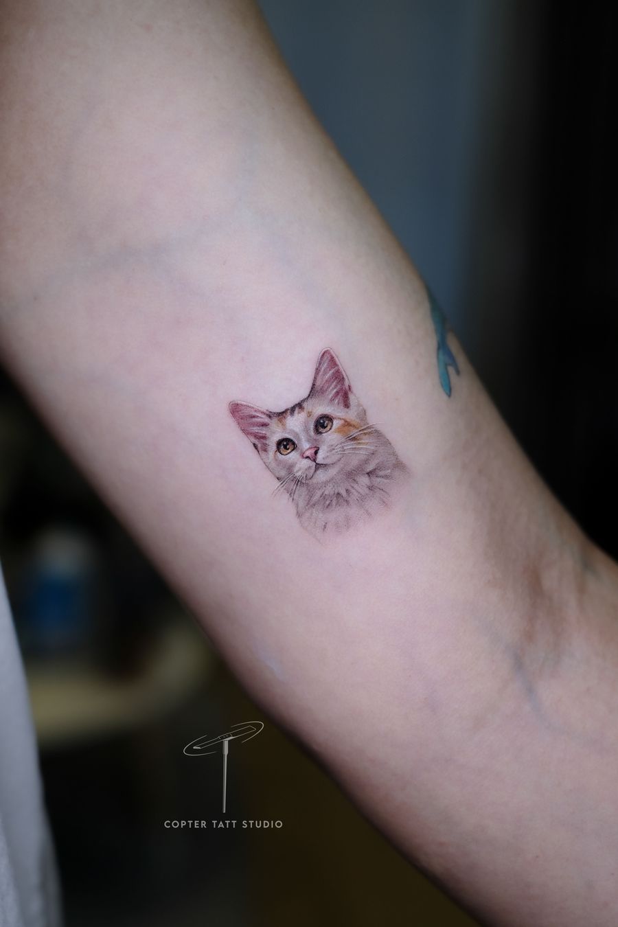 Pet